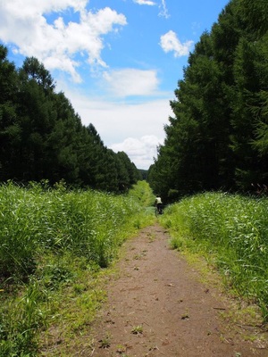 MTBでサイクリング