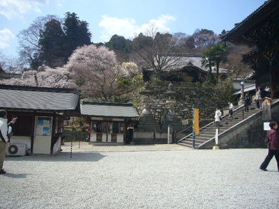 長谷寺
