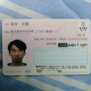 こんにちは。画像