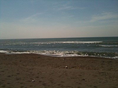 (78)
