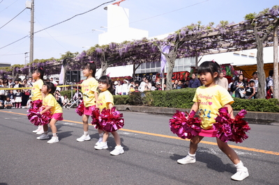 藤まつり♪☆PINKY☆