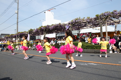 藤まつり☆IVIE☆