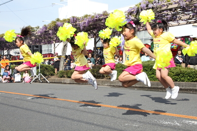 藤まつり☆JASMIN☆