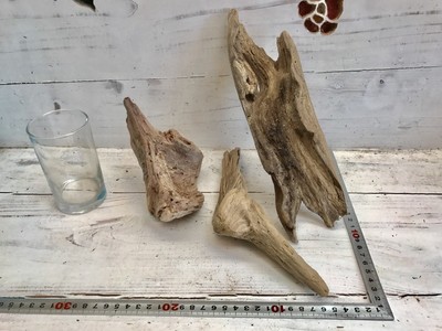 流木  535  小物３点セット