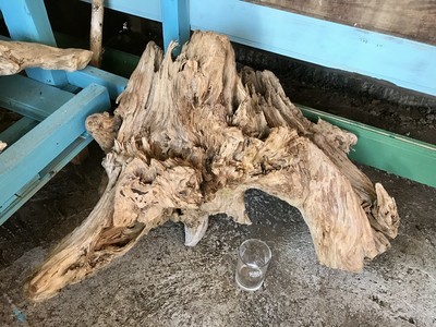 流木 582