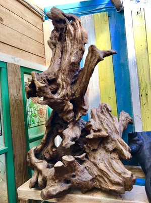 流木&木の根 104  Ｋumato Ｎakamura 作品