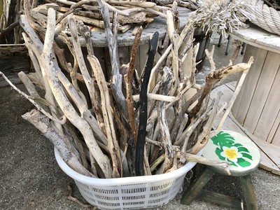 流木  618  枝 中