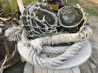 流木  625  船ねロープ