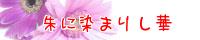 ばな