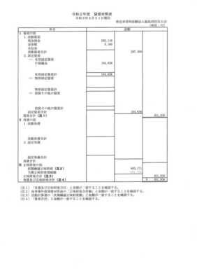 令和2年度貸借対照表
