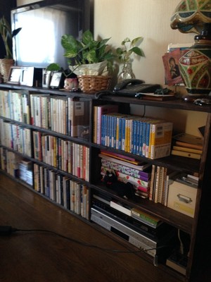 サイズ指定品 テレビ台＆本棚