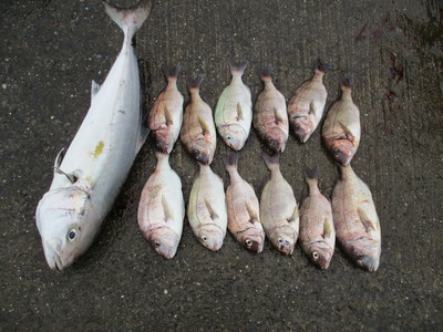 ８月２８日