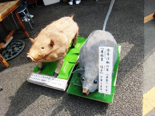 時期外れですが画像