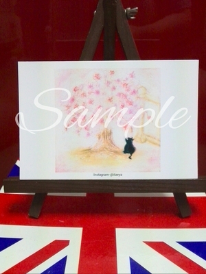 Sakura