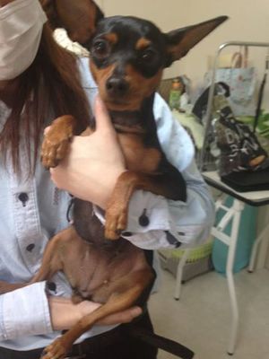 ボンちゃん