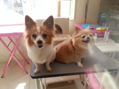 キティちゃん＆ココちゃん
