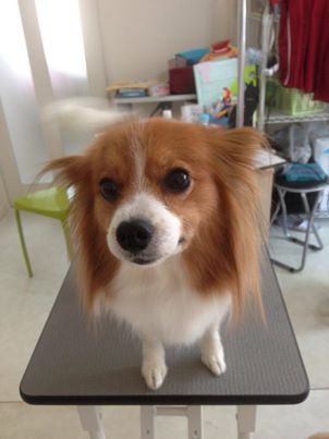 さくちゃん