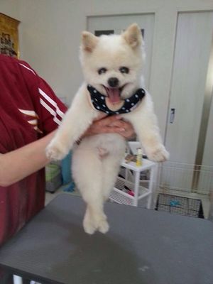 ランくん