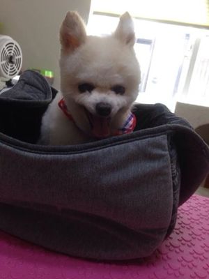 ランくん