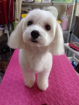 ララちゃん