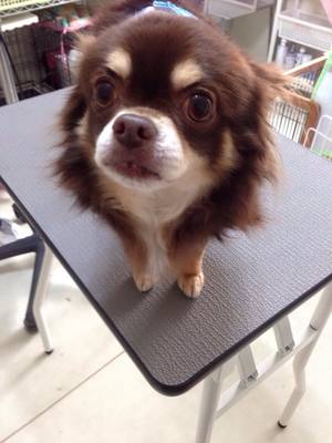 エイトくん