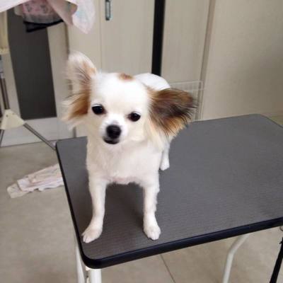 プルンちゃん