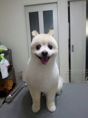 クゥくん