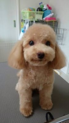 ななみちゃん