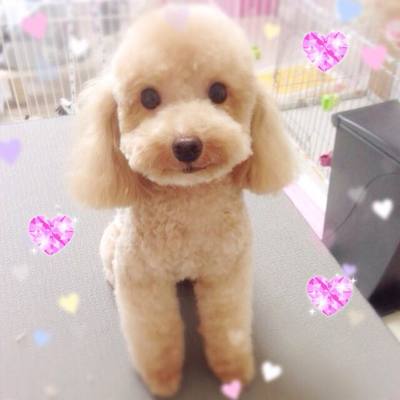 ななみちゃん