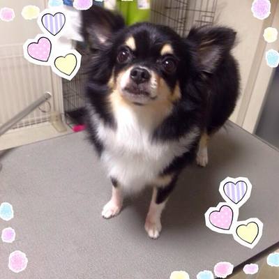ひかりちゃん