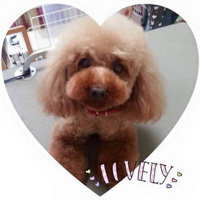 ノアちゃん