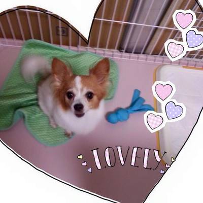 キティちゃん