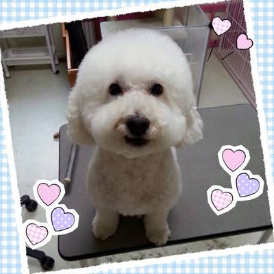 ロンくん