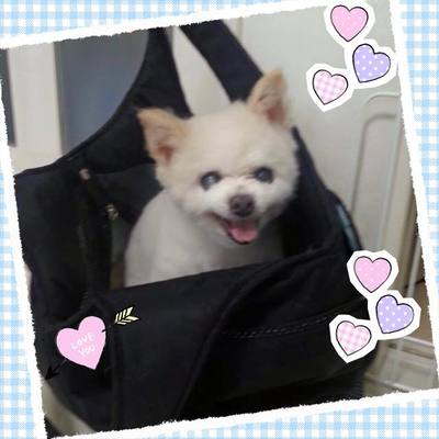 ランくん
