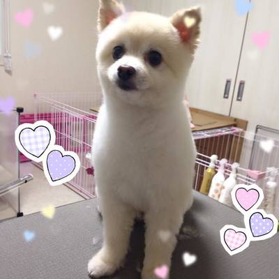 クゥくん