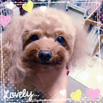 アロハちゃん