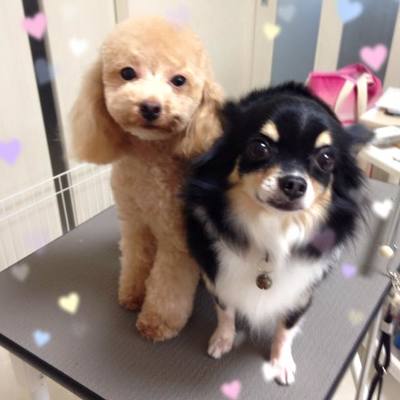 ななみちゃんひかりちゃん