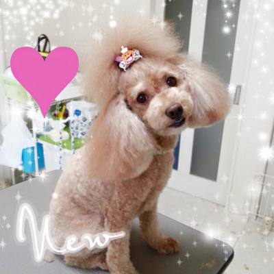 メリちゃん