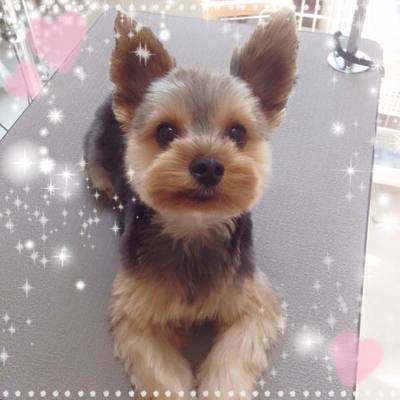 モモちゃん