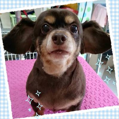レオくん