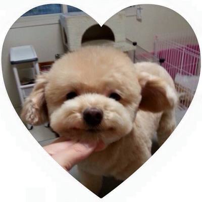 アレクくん