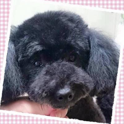 さくらちゃん
