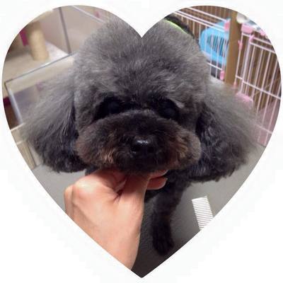ネオくん