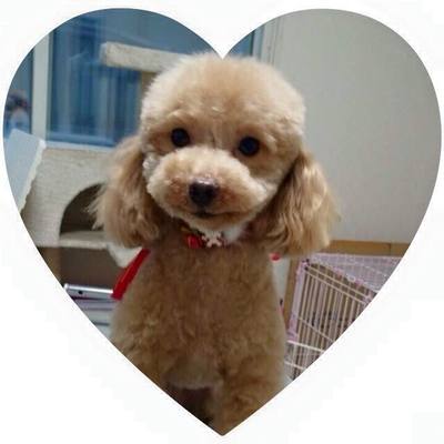 ななみちゃん