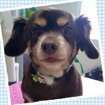 レオくん