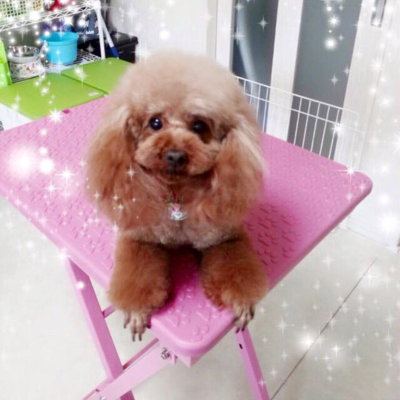 ノアちゃん