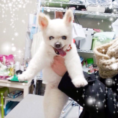 ランくん