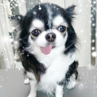 アンジーちゃん