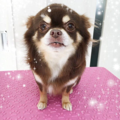 エイトくん