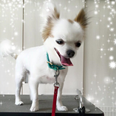 プルンちゃん
